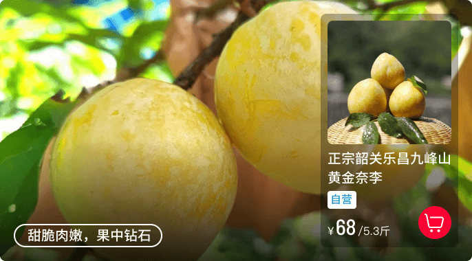 黄金奈李