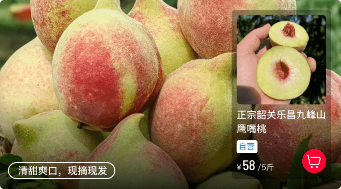 鹰嘴桃